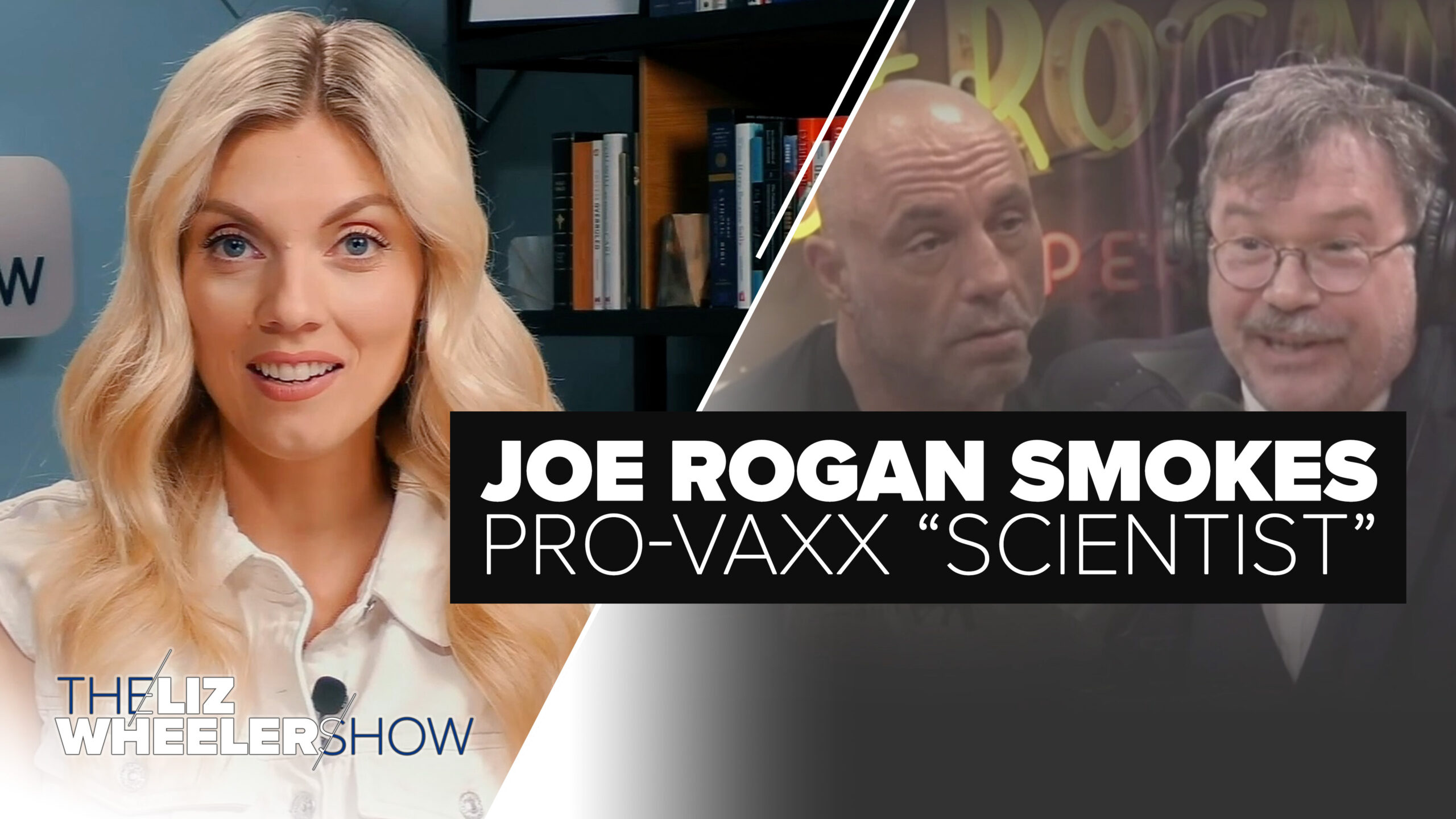 Joe Rogan and Peter Hotez debate vaccines on The Joe Rogan Show