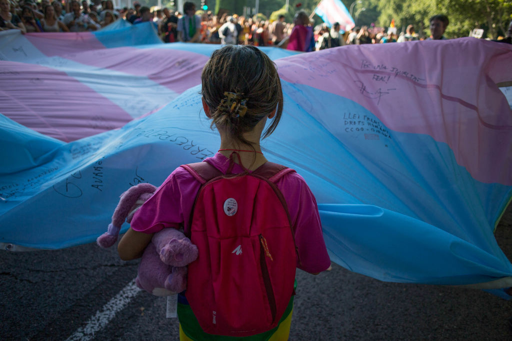 A girl holds the Transgender Pride flag during the pride march held in one of the most important streets of Madrid.
