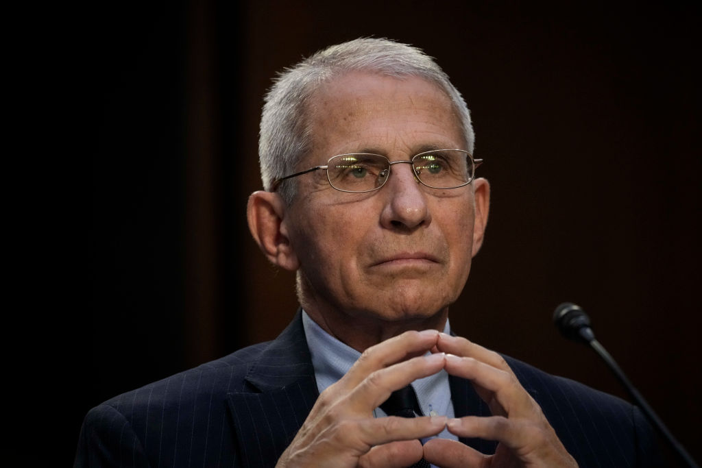 Dr. Anthony Fauci, director of the National Institutes of Allergy and Infectious Diseases, testifies during a Senate Committee on Health, Education, Labor and Pensions hearing about the federal response to monkeypox, on Capitol Hill September 14, 2022 in Washington, DC.